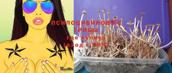 каннабис Няндома