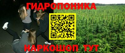 стафф Волгодонск