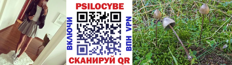 Галлюциногенные грибы прущие грибы  Севастополь 