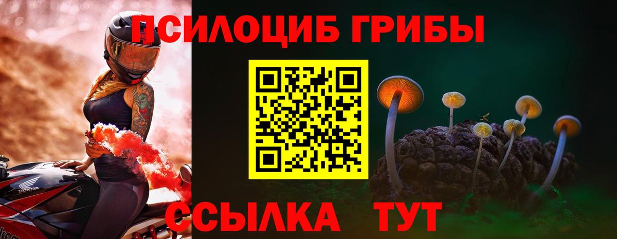 Псилоцибиновые грибы Psilocybine cubensis Севастополь