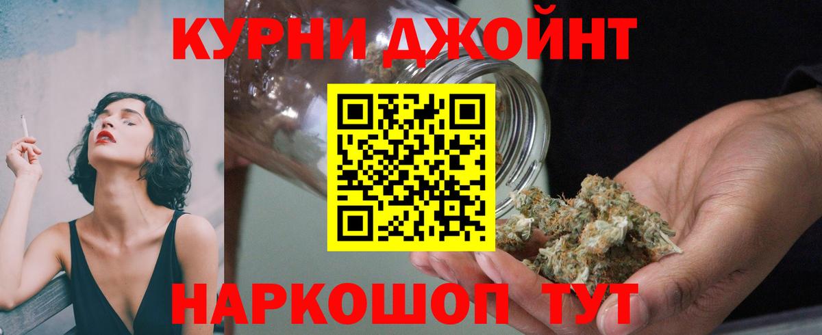 Бошки Шишки план Севастополь